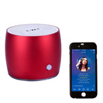 EWA A103 Altoparlante Bluetooth portatile Wireless Heavy Bass Bomm Box Subwoofer Chiamata telefonica Surround Sound Bluetooth Altoparlante per doccia