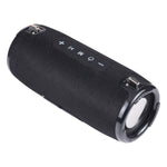 T&G TG125 Altoparlante a colonna portatile Altoparlante Bluetooth da 20 W Altoparlante per lettore musicale Scatola con radio FM Aux TF Subwoofer Altoparlante per bassi