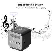 Altoparlanti portatili con radio FM