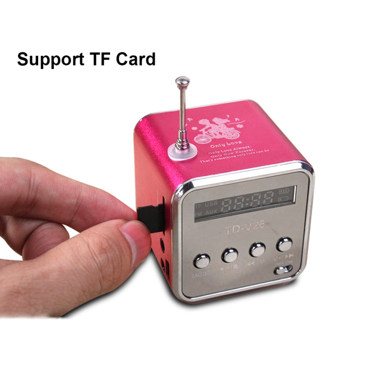 Altoparlante portatile con radio FM e lettore MP3