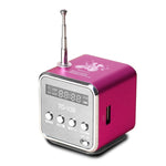 Altoparlante portatile con radio FM e lettore MP3
