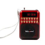 Altoparlante radio FM portatile ricaricabile USB TF