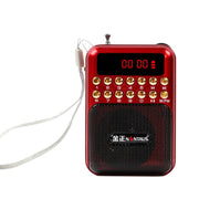 Altoparlante radio FM portatile ricaricabile USB TF