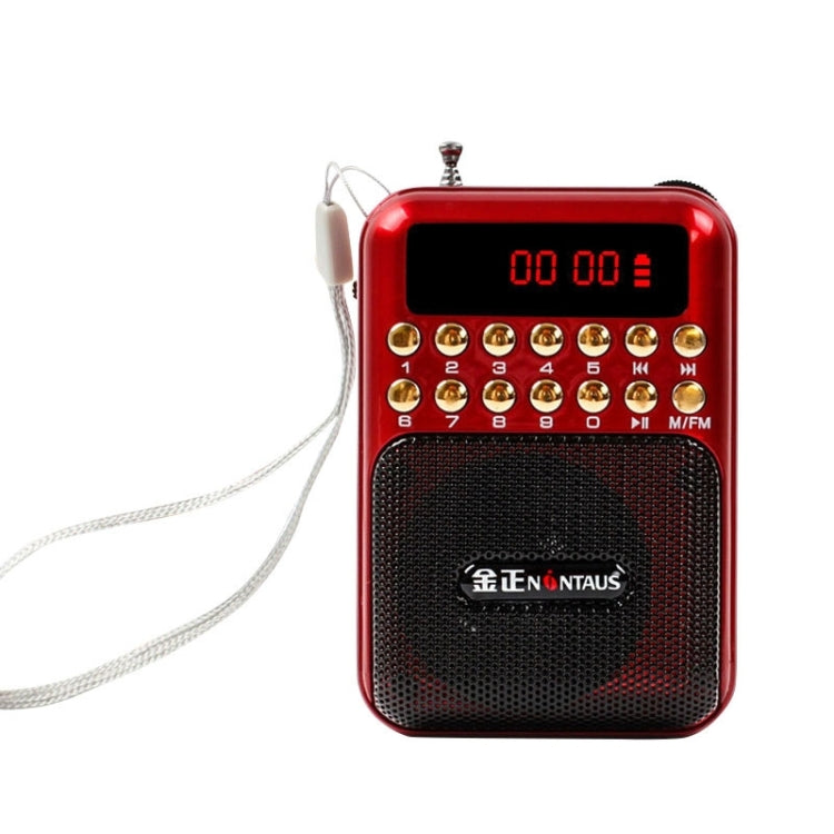 Altoparlante ricevitore radio FM portatile ricaricabile, supporto USB / scheda TF / lettore musicale MP3