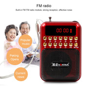 Altoparlante radio FM portatile ricaricabile USB TF