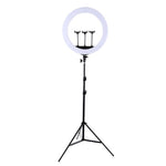 Kit luce anello LED 21 pollici con telecomando e treppiede