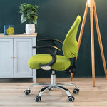 Fodera per sedia da ufficio elasticizzata universale, Back Cover + Cushion Cover