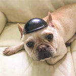 Casco per animali domestici Locomotiva Lelmet Accessori per cani e gatti, S, M