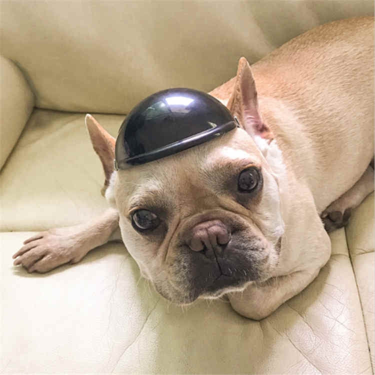Casco per animali domestici Locomotiva Lelmet Accessori per cani e gatti, S, M