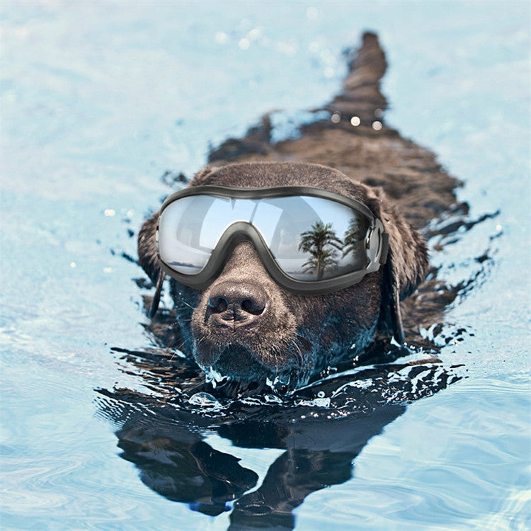 Occhiali per animali domestici Occhiali per cani di grossa taglia Protezione solare antivento impermeabile Protezione UV, Sunscreen UV Glasses