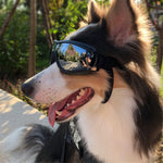 Occhiali per animali domestici Occhiali per cani di grossa taglia Protezione solare antivento impermeabile Protezione UV, Sunscreen UV Glasses