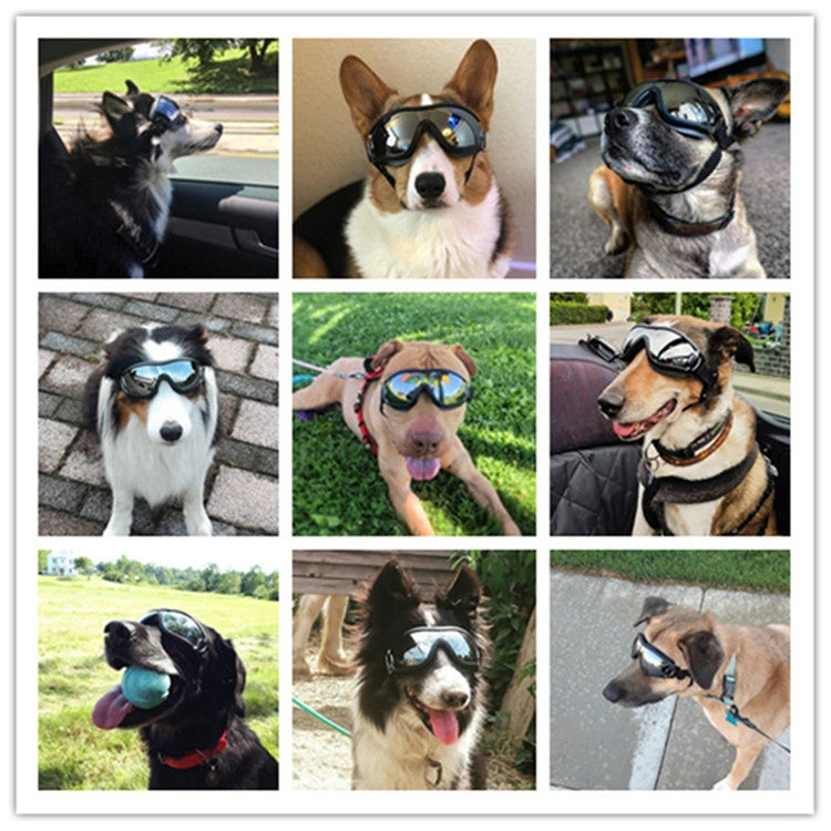 Occhiali per animali domestici Occhiali per cani di grossa taglia Protezione solare antivento impermeabile Protezione UV, Sunscreen UV Glasses