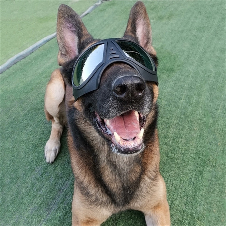 Occhiali con maschera per animali domestici Occhiali con montatura morbida impermeabili e resistenti alla neve Forniture per cani Occhiali da sole