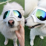 Occhiali con maschera per animali domestici Occhiali con montatura morbida impermeabili e resistenti alla neve Forniture per cani Occhiali da sole