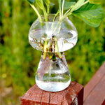 Decorazione della tavola della casa del fiore del contenitore della bottiglia del terrario del vaso di vetro a forma di fungo