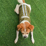 Impermeabile per cani con cappuccio e strisce riflettenti