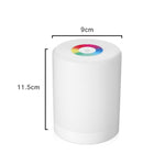 Lampada dimmer a induzione con controllo tattile a LED Luce notturna da comodino ricaricabile con cambio colore RGB dimmerabile intelligente