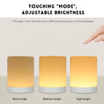 Lampada dimmer a induzione con controllo tattile a LED Luce notturna da comodino ricaricabile con cambio colore RGB dimmerabile intelligente