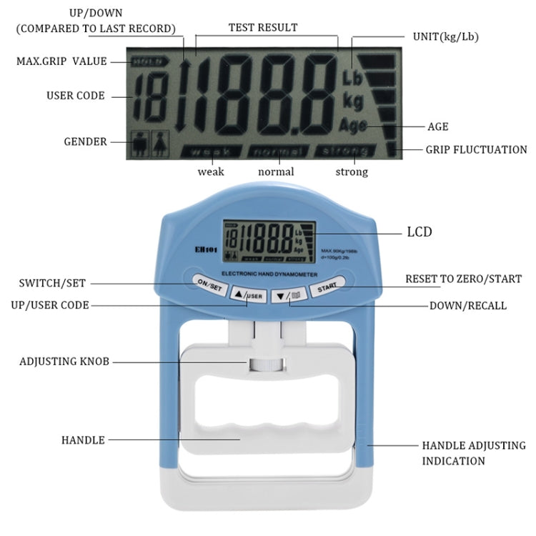 EH101 Dinamometro elettronico per la forza del braccio Adatto per l'allenamento sportivo, EH101 Arm Strength Dynamometer