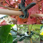 Set di 5 clip da giardino per piante in plastica, 5 Sets