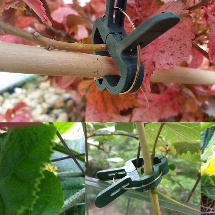 Set di 5 clip da giardino per piante in plastica, 5 Sets