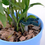 Set di 5 clip da giardino per piante in plastica, 5 Sets