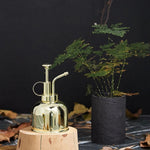 Annaffiatoio piccolo in ottone vintage 300 ml