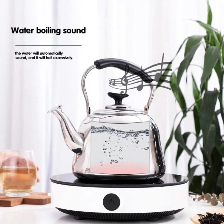 Bollitore a fischio in acciaio inossidabile per piano cottura a induzione Pentola per cantare con suono di pianoforte classico domestico senza calore magnetico, 1L, 1.5L, 2L, 3L