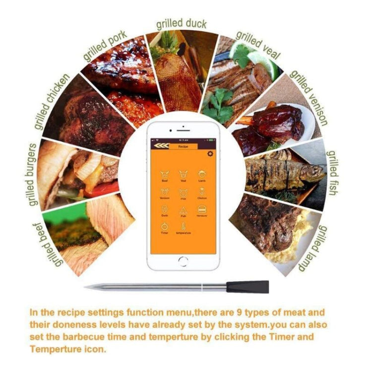 Termometro da forno Bluetooth per alimenti 0-100°C
