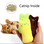 2 pezzi digrignamento dei denti erba gatta giocattoli divertente peluche interattivo gatto giocattolo pet gattino giocattolo da masticare artigli morso al pollice gatto menta per gatti