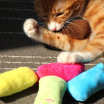 2 pezzi digrignamento dei denti erba gatta giocattoli divertente peluche interattivo gatto giocattolo pet gattino giocattolo da masticare artigli morso al pollice gatto menta per gatti