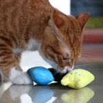 2 pezzi digrignamento dei denti erba gatta giocattoli divertente peluche interattivo gatto giocattolo pet gattino giocattolo da masticare artigli morso al pollice gatto menta per gatti