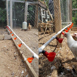 Abbeveratoio per pollame con ciotola per l'esportazione dell'attrezzatura per l'allevamento regolabile, Drinking Bowl Poultry Drinker