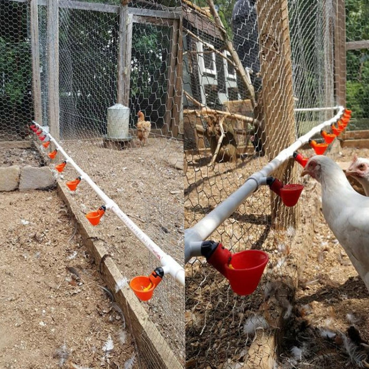 Abbeveratoio per pollame con ciotola per l'esportazione dell'attrezzatura per l'allevamento regolabile, Drinking Bowl Poultry Drinker