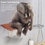 Sedia da doccia relax pieghevole a parete in legno massello, F Fype Folding Solid Chair