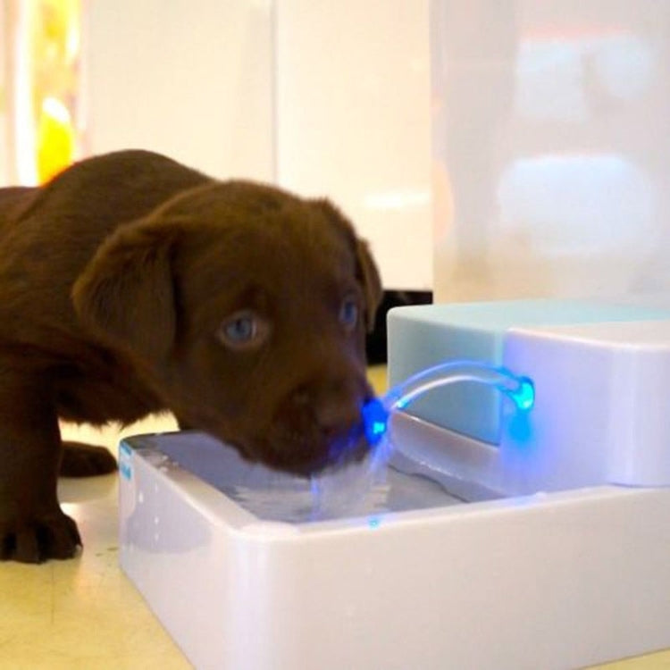Distributore automatico di acqua per animali domestici Cat Teddy Dog Alimentatore per cani a circolazione generale, US, EU, UK, AU