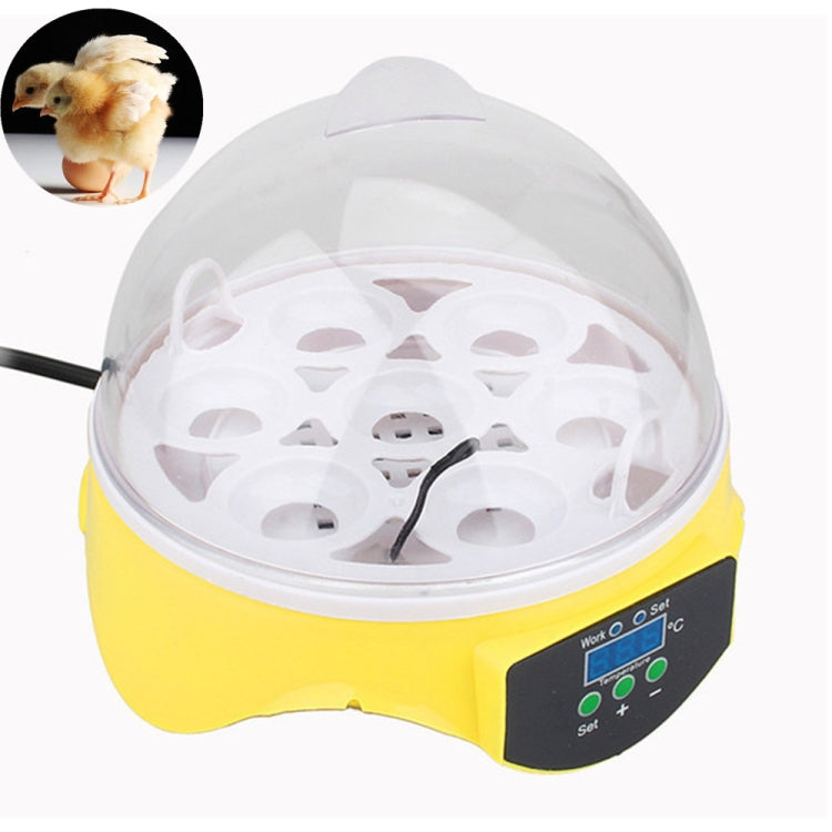 Incubatrice elettronica YZ9-7 per 7 uova con controllo PID
