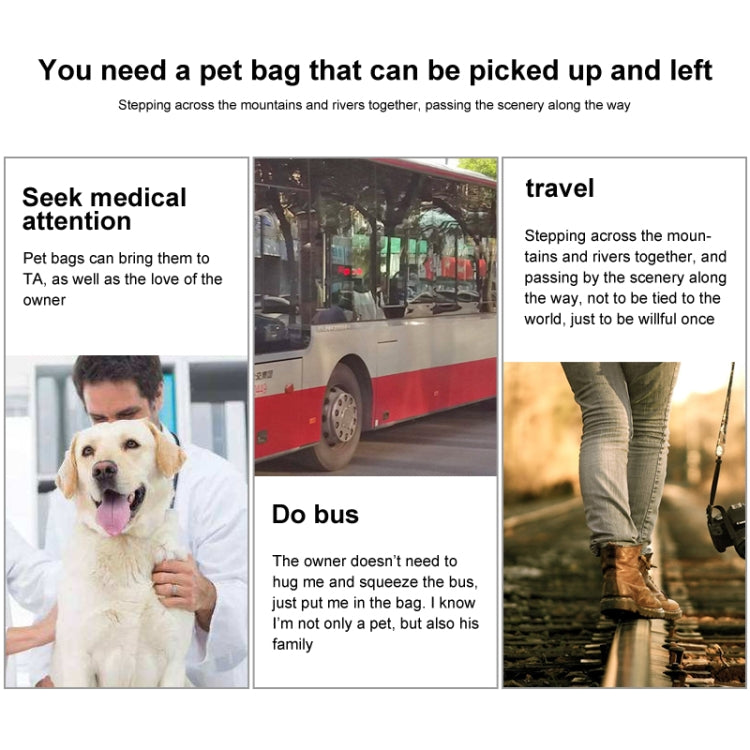 Borsa da trasporto per animali domestici pieghevole portatile in EVA
