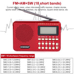 Altoparlante radio ricaricabile HABONG KK-170 21 bande