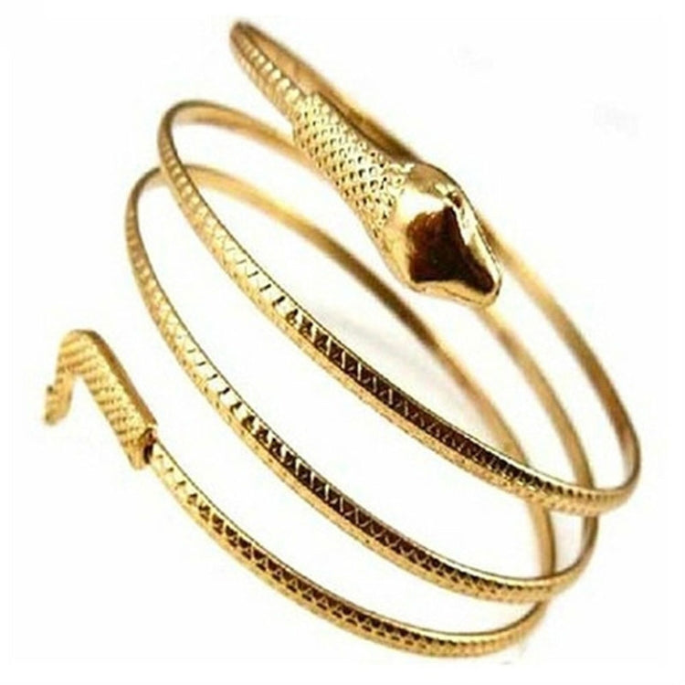 Bracciale rigido con polsino a spirale con serpente a spirale alla moda punk da 2 pezzi