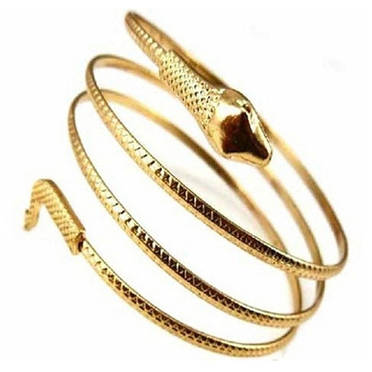 Bracciale rigido con polsino a spirale con serpente a spirale alla moda punk da 2 pezzi