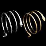 Bracciale rigido con polsino a spirale con serpente a spirale alla moda punk da 2 pezzi