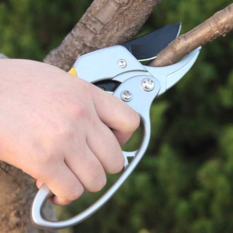 Cesoie da giardinaggio manuali per il giardinaggio a mano, a becco, per potatura manuale dei rami, Branch Pruning Shears