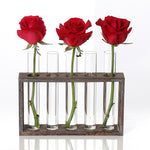 Vaso per provette in vetro idroponico trasparente, decorazione per il desktop, decorazione semplice e creativa per interni, 3-Hole Wooden Frame, 5-Hole Wooden Frame
