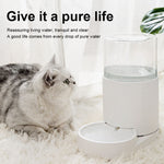 Distributore automatico di acqua per gatti, ciotola per acqua potabile, mangiatoia per cani, Drinking Fountain, Feeder, Drinking Fountain + Feeder