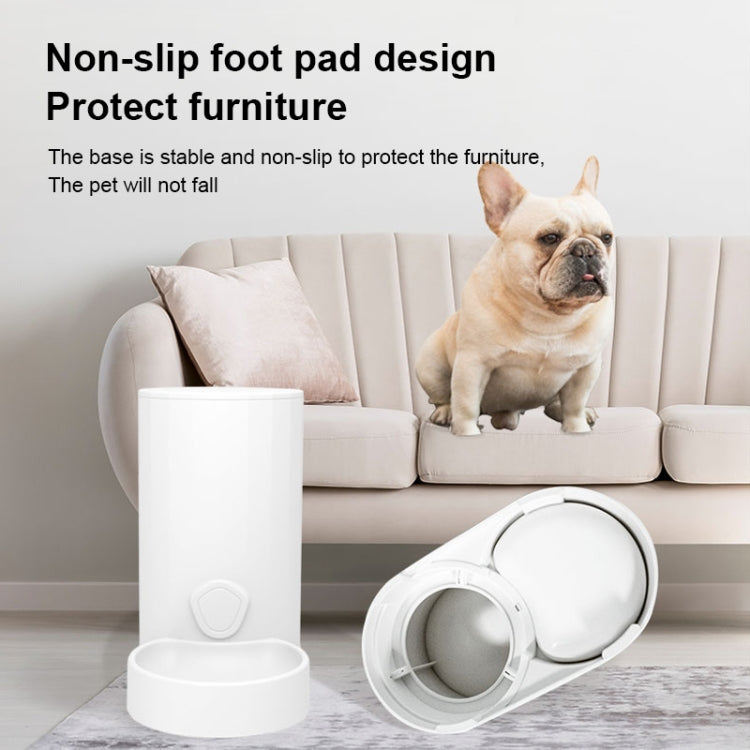 Distributore automatico di acqua per gatti, ciotola per acqua potabile, mangiatoia per cani, Drinking Fountain, Feeder, Drinking Fountain + Feeder