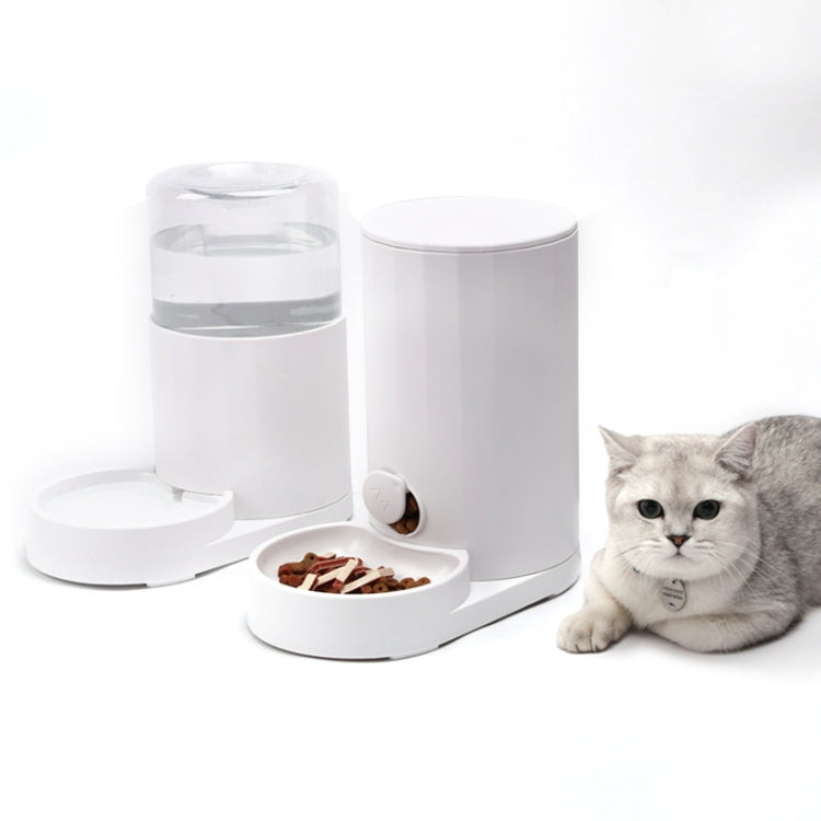 Distributore automatico di acqua per gatti, ciotola per acqua potabile, mangiatoia per cani, Drinking Fountain, Feeder, Drinking Fountain + Feeder