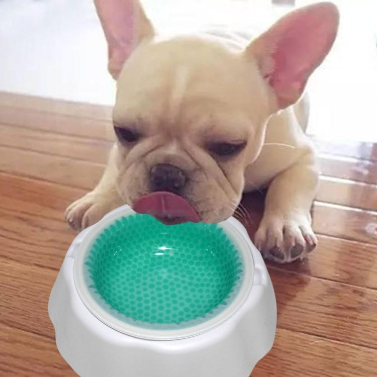 Ciotola per alimenti con ciotola fredda per velocità di raffreddamento degli animali domestici, Speed Cold Bowl