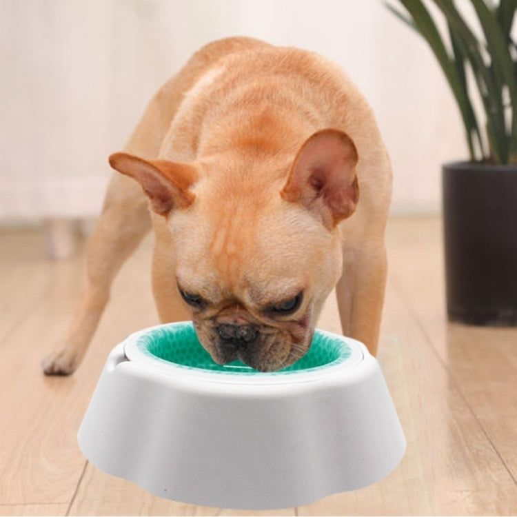 Ciotola per alimenti con ciotola fredda per velocità di raffreddamento degli animali domestici, Speed Cold Bowl