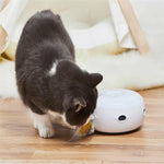 Intelligente elettrico divertente gatto bastone giocattolo divertente gatto giradischi elettrico dispositivo divertente gatto, Funny Cat Stick